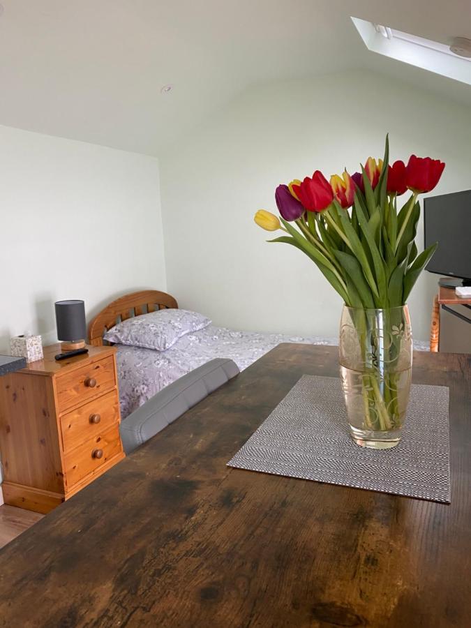 Apartmán Cosy 1 Bed Garden Annexe Colchester Exteriér fotografie